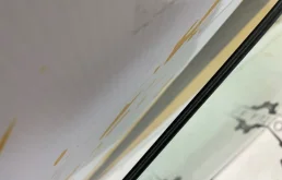 Стекло двери переднее левое для Lexus RX 2016 года на фотографиях