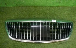 Решетка переднего бампера для Mercedes-Benz S class 2019 года на фотографиях