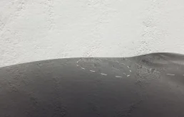 Дверь задняя правая для Subaru Forester 2015 года на фотографиях