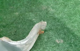 Крыло левое для Skoda Octavia 2001 года на фотографиях