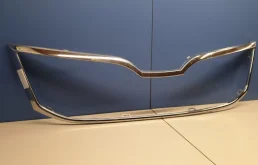 Молдинг решетки радиатора для Skoda Octavia 2018 года на фотографиях