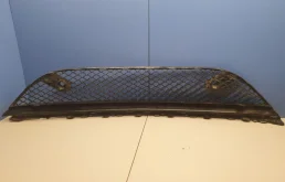 Решетка радиатора для Mercedes-Benz S class 2018 года на фотографиях