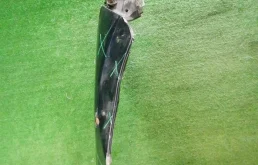 Крыло правое для Infiniti QX 2022 года на фотографиях