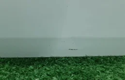 Накладка на дверь передняя левая для Volkswagen Polo 2018 года на фотографиях