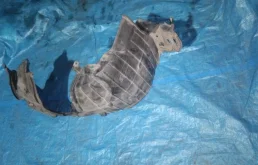 Подкрылок передний правый для Nissan X-Trail 2011 года на фотографиях