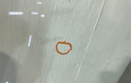 Лобовое (ветровое) стекло для Subaru Forester на фотографиях