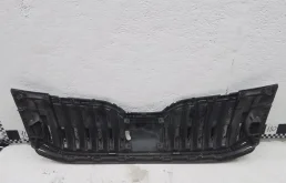 Молдинг решетки радиатора для Skoda Octavia 2018 года на фотографиях
