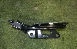 Петля капота левая для Volkswagen Tiguan на фотографиях