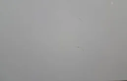 Дверь передняя правая для Volvo S40 1996 года на фотографиях