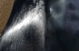 Капот для Volvo S80 2012 года на фотографиях