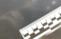 Двери для Mercedes-Benz C class 1998 года на фотографиях