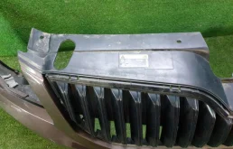 Решетка радиатора для Skoda Octavia 2018 года на фотографиях