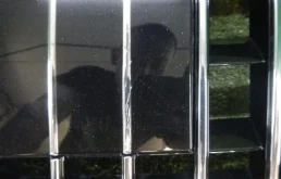 Решетка переднего бампера для Mercedes-Benz S class 2019 года на фотографиях