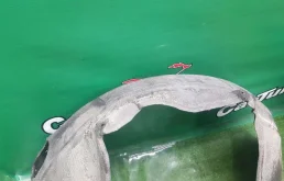 Подкрылок передний правый для Mercedes-Benz S class 1996 года на фотографиях