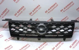Решетка радиатора для Nissan X-Trail 2001 года на фотографиях