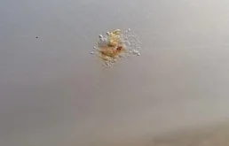 Дверь задняя правая для Mercedes-Benz M class 2000 года на фотографиях