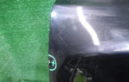 Двери для Nissan Qashqai 2024 года на фотографиях