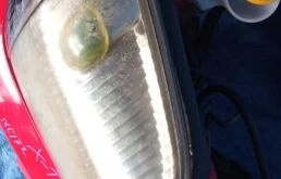 Бампер передний для Nissan X-Trail 2000 года на фотографиях