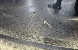 Дверь багажника для BMW X3 2008 года на фотографиях