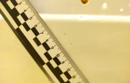 Двери для BMW 5er 2001 года на фотографиях