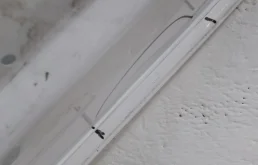 Накладка на дверь задняя правая для Hyundai Solaris 2018 года на фотографиях