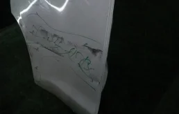 Накладка на дверь задняя правая для Nissan Juke на фотографиях