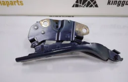 Петля капота правая для Volkswagen Tiguan 2023 года на фотографиях