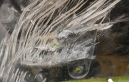 Решетка радиатора для BMW 5er 2018 года на фотографиях