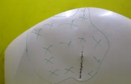 Капот для Toyota RAV4 2017 года на фотографиях