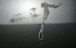 Дверь передняя правая для Hyundai Tucson 2008 года на фотографиях