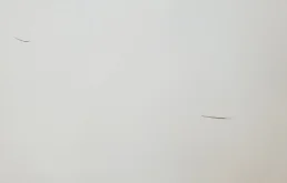 Капот для Mercedes-Benz S class 2002 года на фотографиях