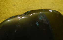 Капот для Renault Duster 2020 года на фотографиях