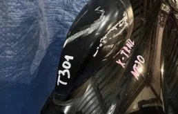 Крыло левое для Nissan X-Trail 2000 года на фотографиях