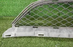 Решетка переднего бампера для Mercedes-Benz S class 2019 года на фотографиях