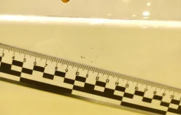 Двери для BMW 5er 2001 года на фотографиях