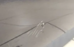 Дверь задняя правая для Ford Kuga 2012 года на фотографиях