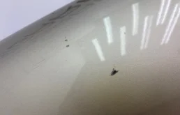 Крыло левое для Mercedes-Benz S class 2004 года на фотографиях