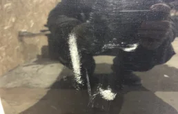 Дверь передняя левая для Volvo S80 2013 года на фотографиях