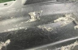 Подкрылок передний левый для Toyota Land Cruiser 2008 года на фотографиях