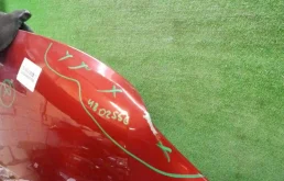 Капот для Renault Logan 2006 года на фотографиях