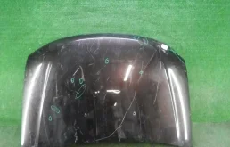 Капот для Renault Duster 2020 года на фотографиях