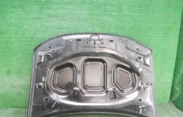 Капот для Renault Duster 2020 года на фотографиях