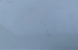 Крышка багажника для Volvo S80 2004 года на фотографиях