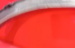 Расширитель арок передний правый для Nissan X-Trail 2008 года на фотографиях