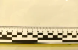 Двери для BMW 5er 2001 года на фотографиях