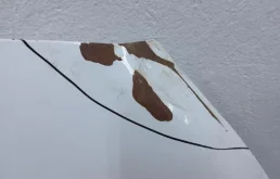 Капот для Suzuki SX4 2018 года на фотографиях