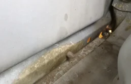 Дверь задняя левая для Mercedes-Benz S class 1996 года на фотографиях