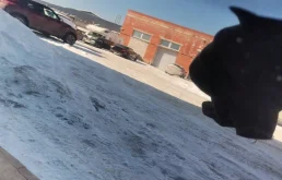 Дверь задняя правая для Mercedes-Benz M class 2009 года на фотографиях