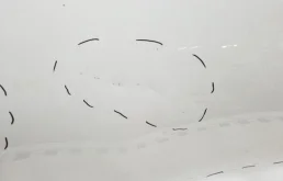 Дверь передняя левая для Audi Q8 2018 года на фотографиях