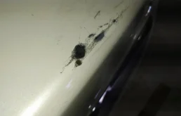 Крышка багажника для Nissan Teana 2014 года на фотографиях